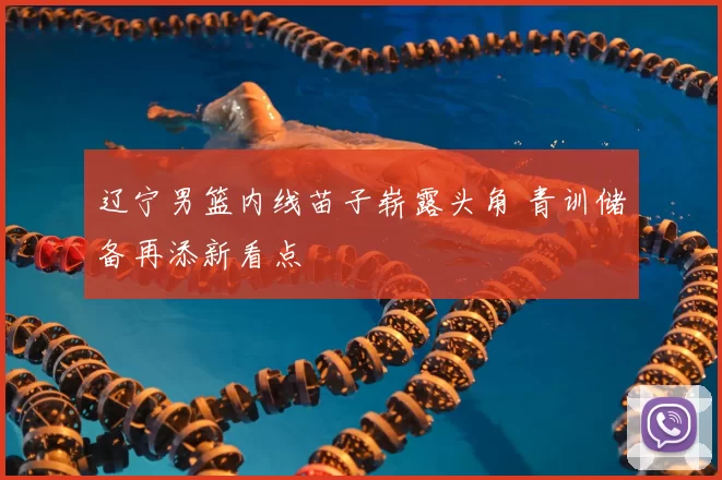 辽宁男篮内线苗子崭露头角 青训储备再添新看点