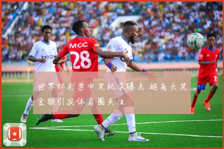 世界杯彩票中奖纪录曝光 超高头奖金额引发体育圈关注