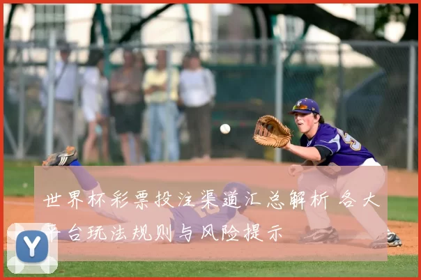 世界杯彩票投注渠道汇总解析 各大平台玩法规则与风险提示