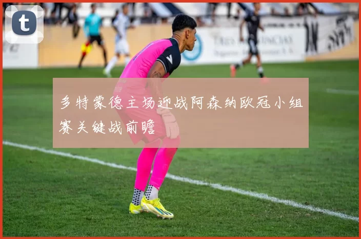 多特蒙德主场迎战阿森纳欧冠小组赛关键战前瞻