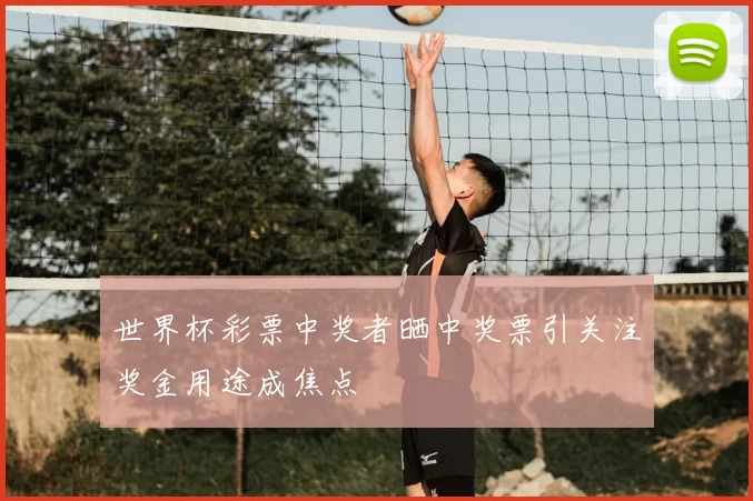 世界杯彩票中奖者晒中奖票引关注奖金用途成焦点