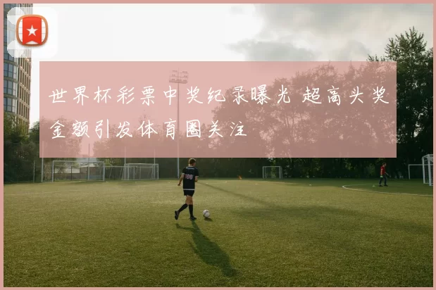 世界杯彩票中奖纪录曝光 超高头奖金额引发体育圈关注