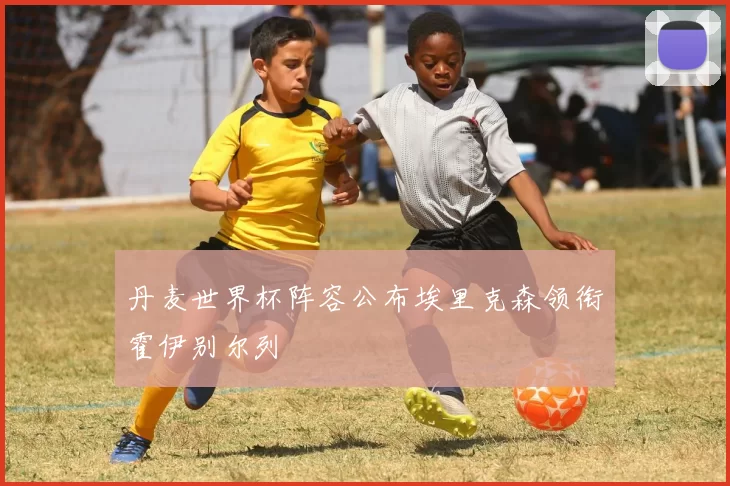 丹麦世界杯阵容公布埃里克森领衔霍伊别尔列