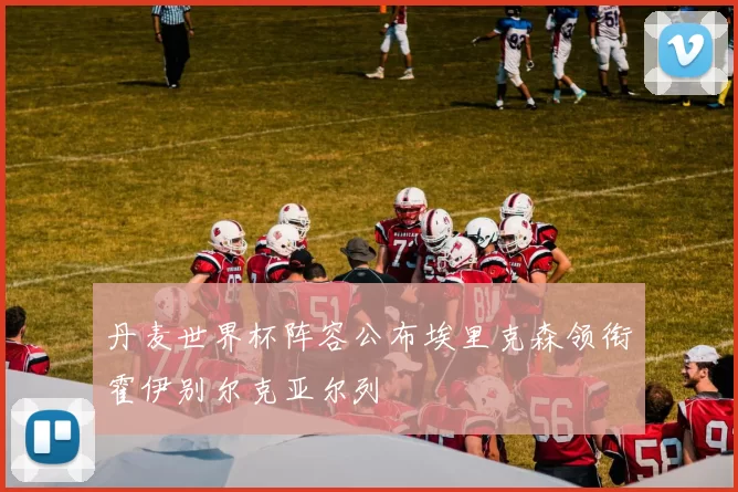 丹麦世界杯阵容公布埃里克森领衔霍伊别尔克亚尔列