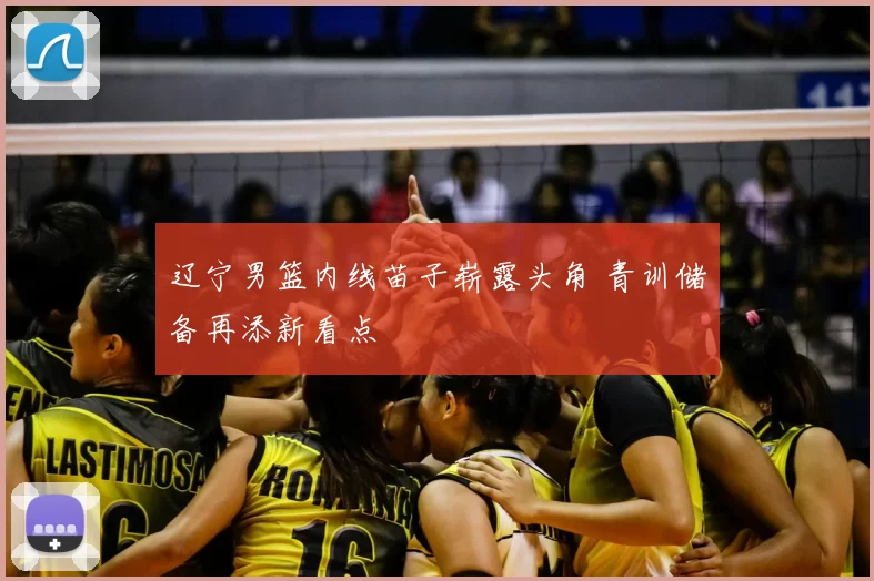 辽宁男篮内线苗子崭露头角 青训储备再添新看点