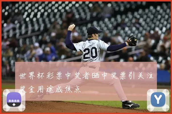 世界杯彩票中奖者晒中奖票引关注奖金用途成焦点