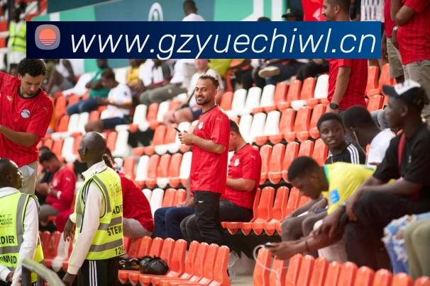 多媒体互动体验